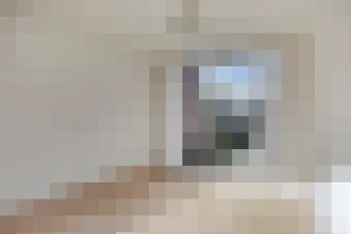 Brederodehof 30 Hendrik-Ido-Ambacht thumbnail 9