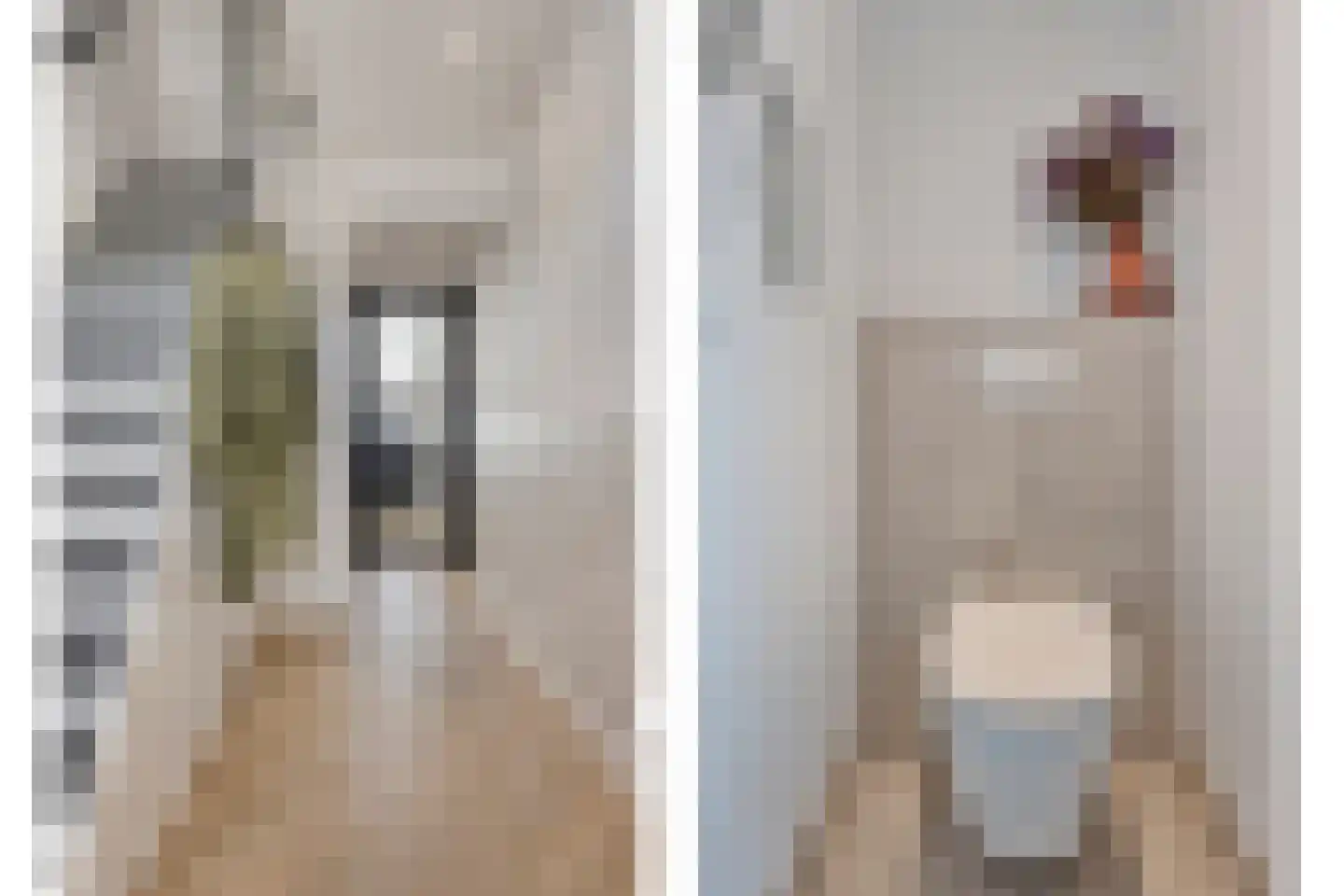 Brederodehof 4 Hendrik-Ido-Ambacht thumbnail 4