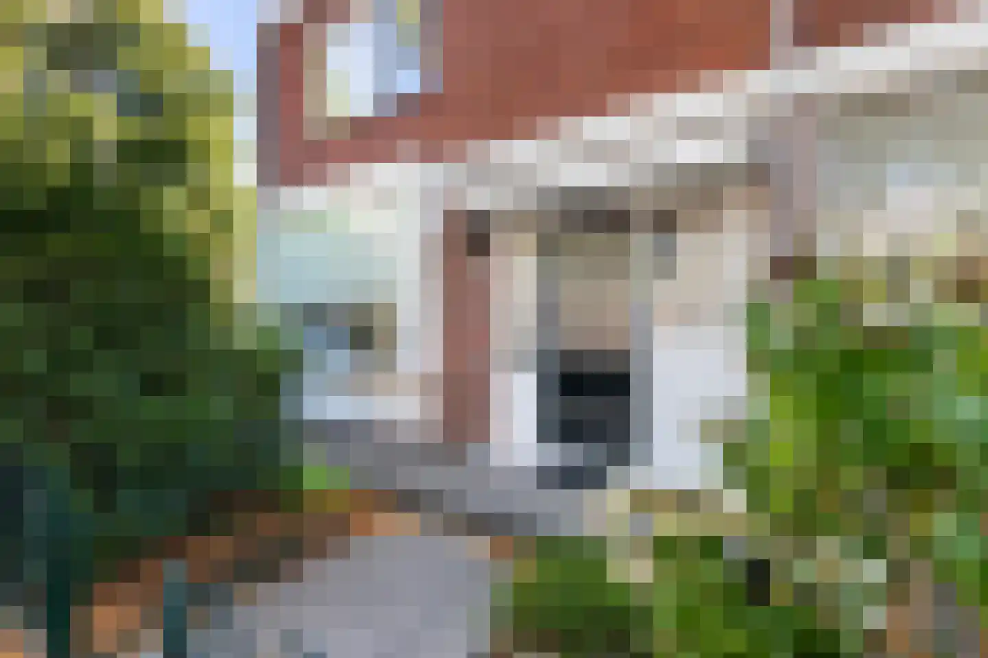 Brederodehof 49 Hendrik-Ido-Ambacht thumbnail 7