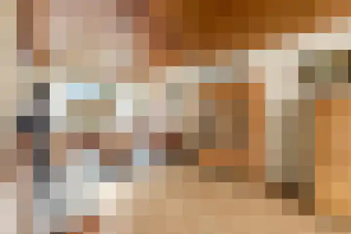Brederodehof 60 Hendrik-Ido-Ambacht thumbnail 5