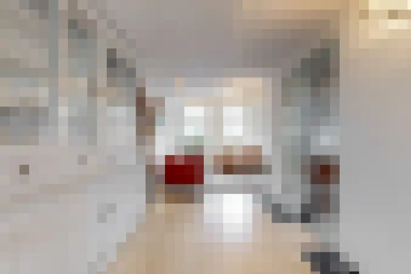 Brederodelaan 1 C Beverwijk thumbnail 19