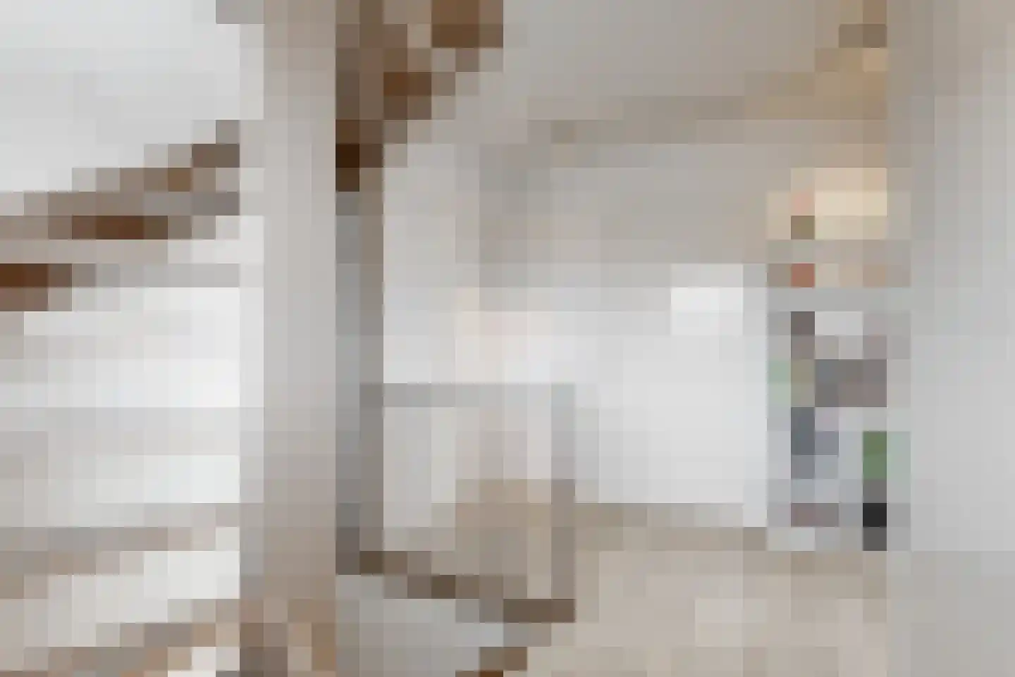 Brederodelaan 1 C Beverwijk thumbnail 28