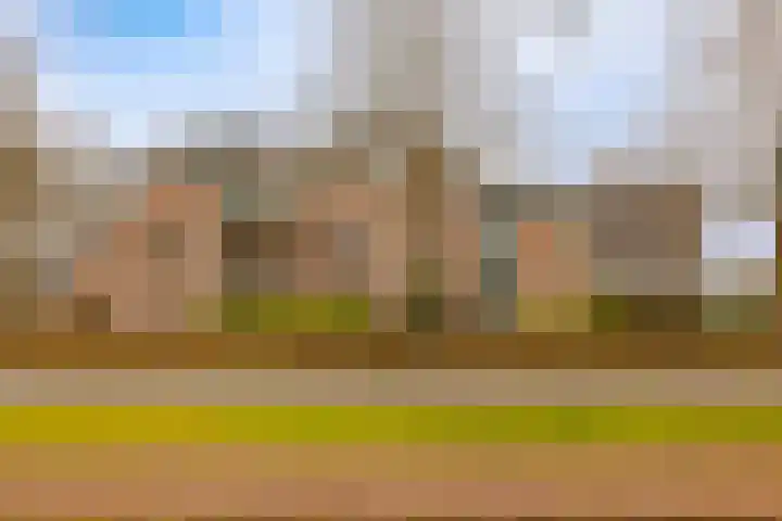 Brederodelaan 100 Bloemendaal thumbnail 34