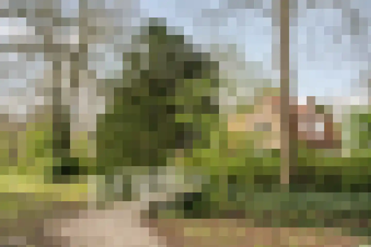 Brederodelaan 104 Bloemendaal thumbnail 28