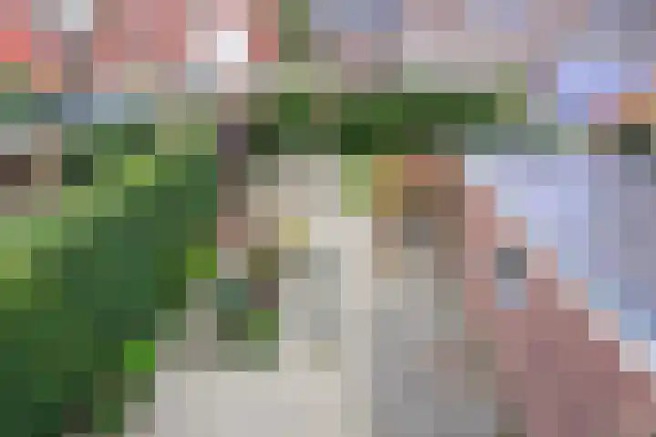 Brederodelaan 11 Bussum thumbnail 19