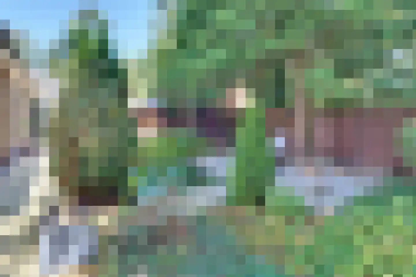 Brederodelaan 16 Ermelo thumbnail 36
