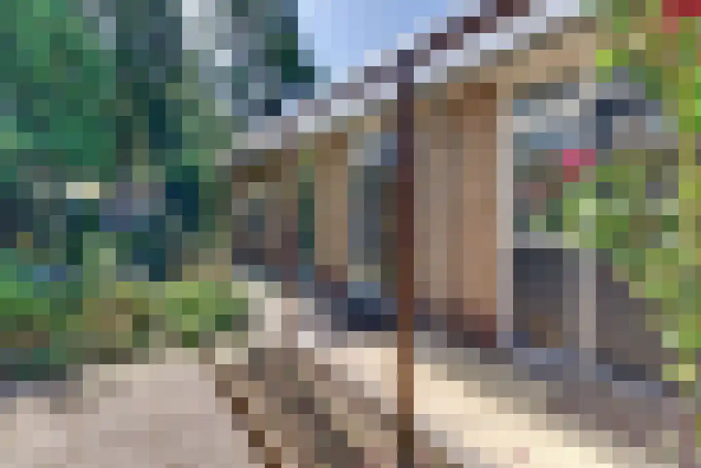 Brederodelaan 16 Ermelo thumbnail 41