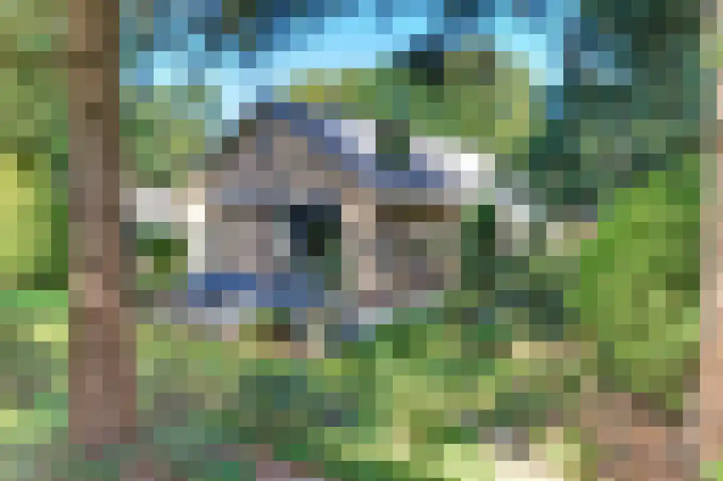 Brederodelaan 16 Ermelo thumbnail 5