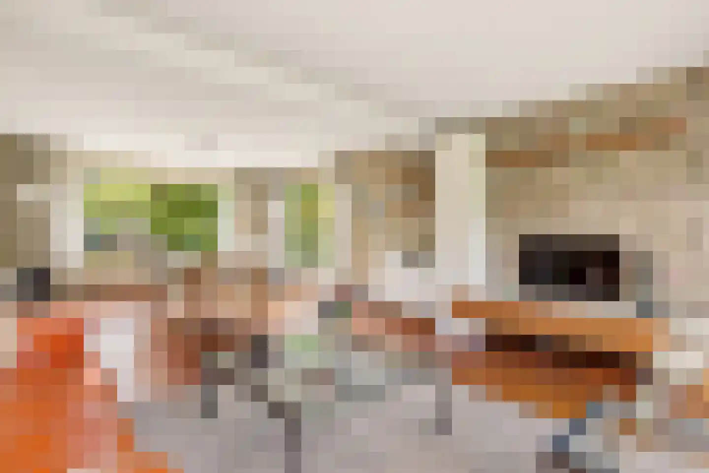 Brederodelaan 18 Beverwijk thumbnail 19