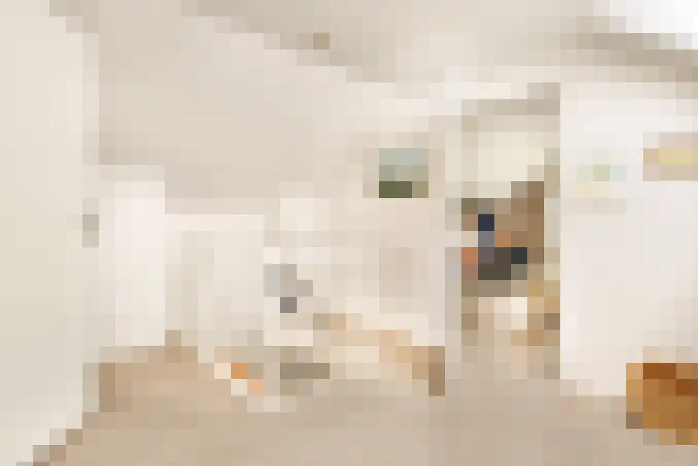 Brederodelaan 18 Beverwijk thumbnail 37
