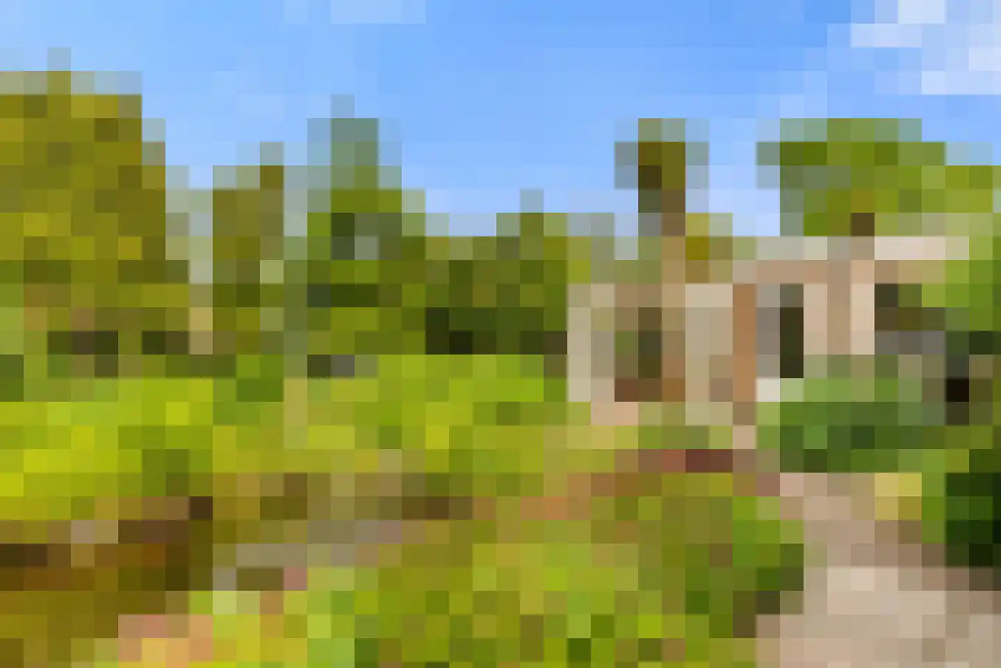 Brederodelaan 18 Beverwijk thumbnail 47