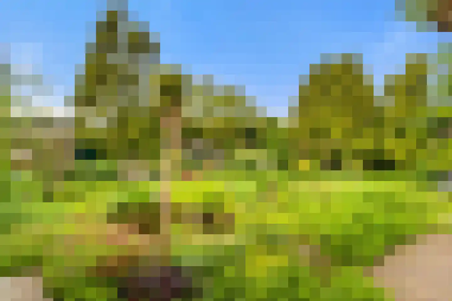Brederodelaan 18 Beverwijk thumbnail 48