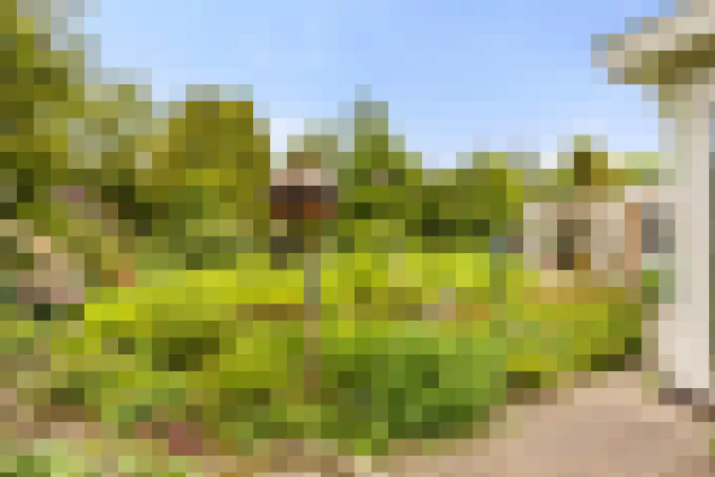 Brederodelaan 18 Beverwijk thumbnail 50