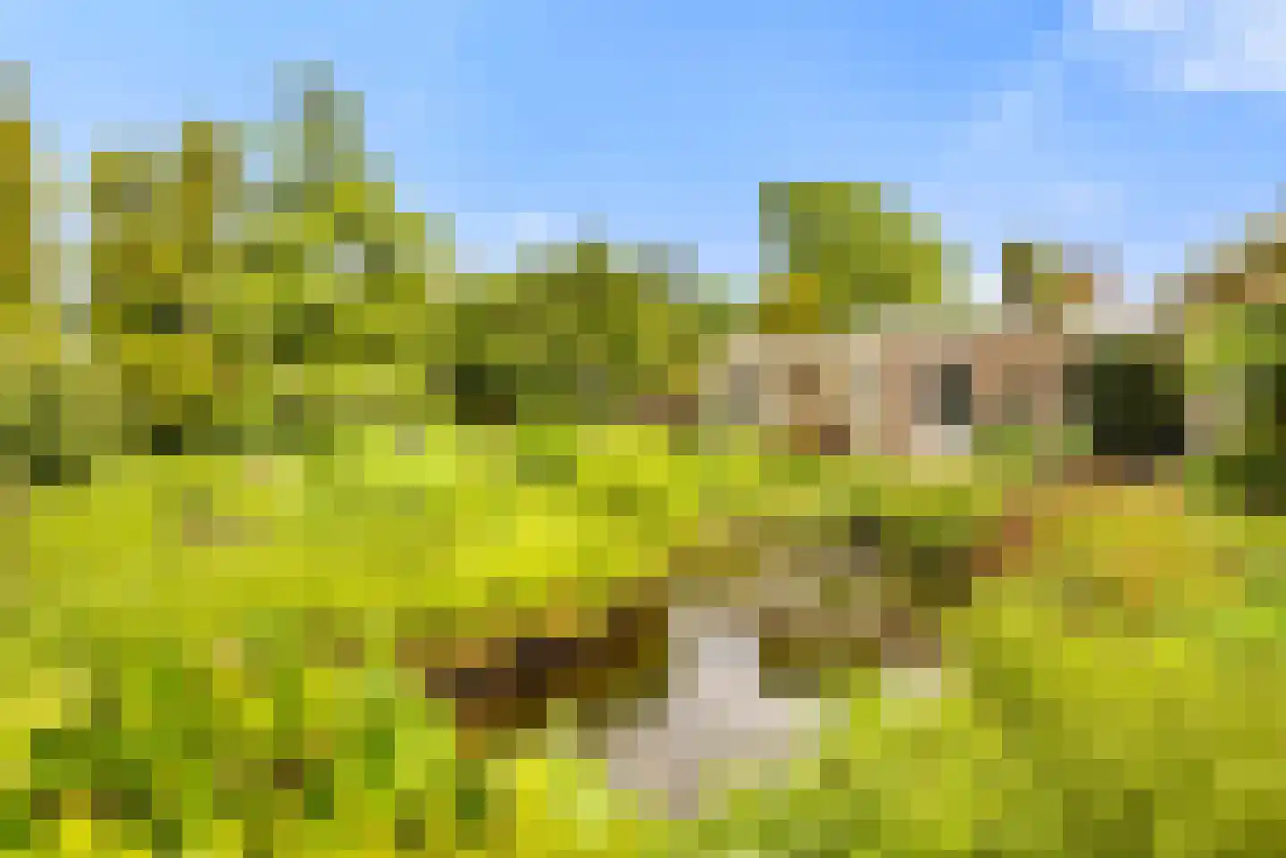 Brederodelaan 18 Beverwijk thumbnail 51