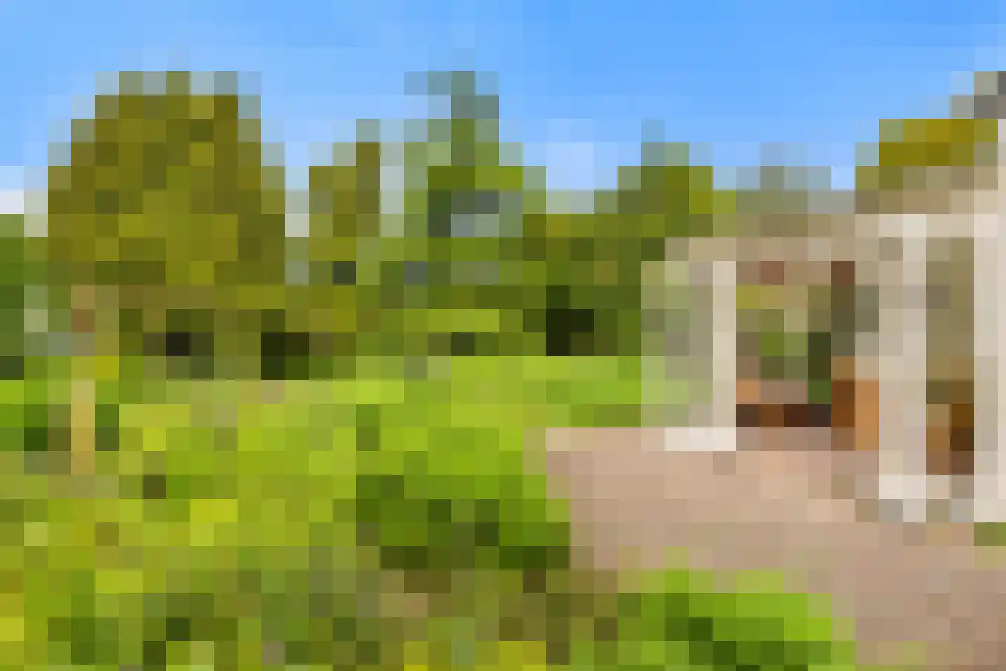 Brederodelaan 18 Beverwijk thumbnail 54