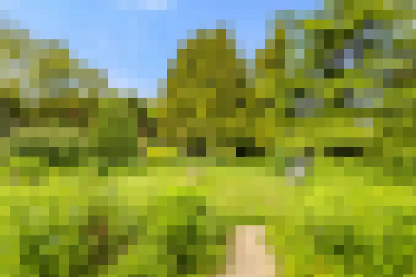 Brederodelaan 18 Beverwijk thumbnail 57