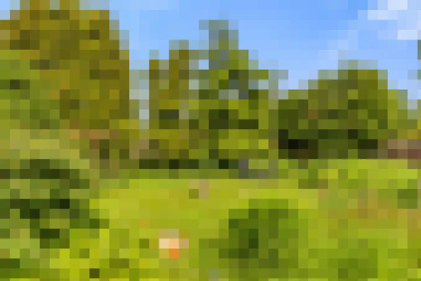Brederodelaan 18 Beverwijk thumbnail 58