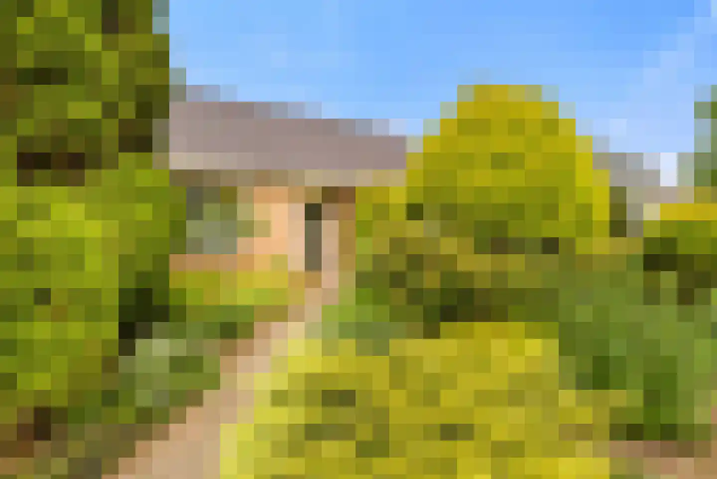 Brederodelaan 18 Beverwijk thumbnail 9