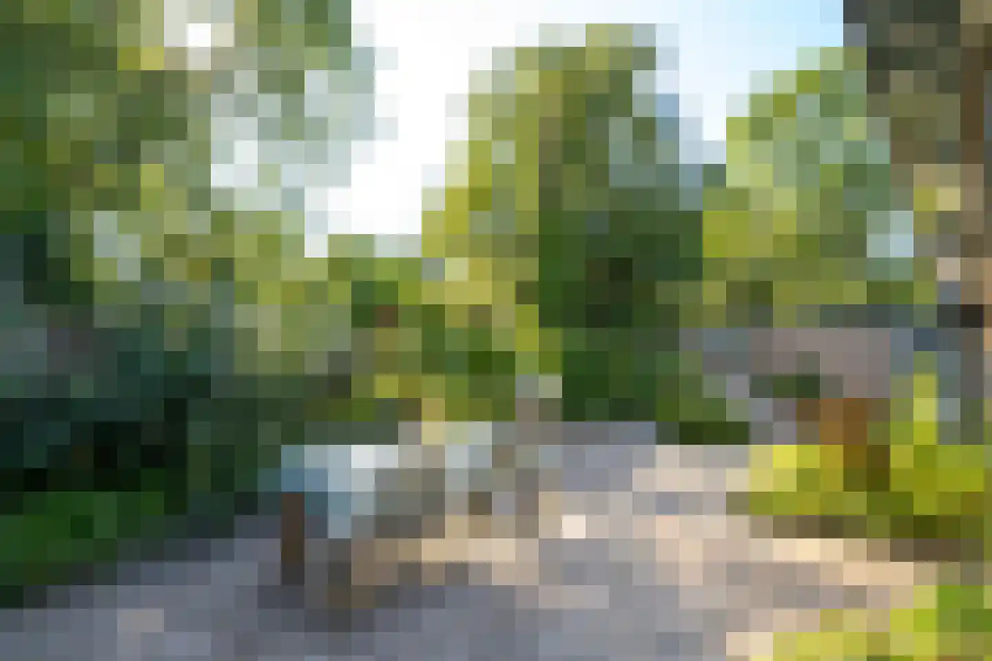 Brederodelaan 21 Ermelo thumbnail 47