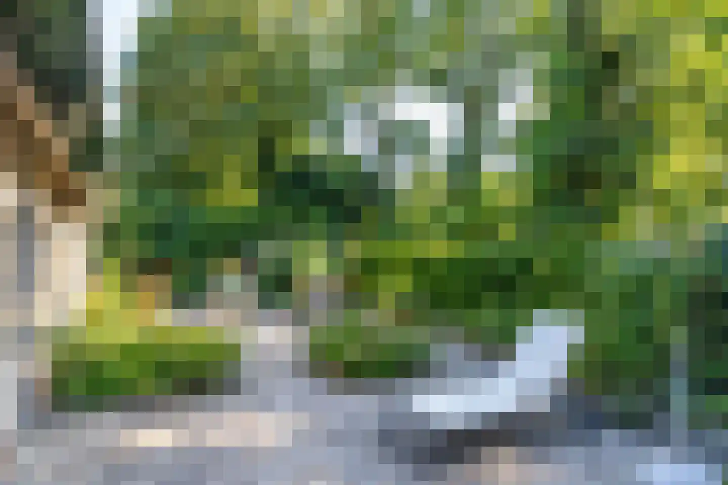 Brederodelaan 21 Ermelo thumbnail 48