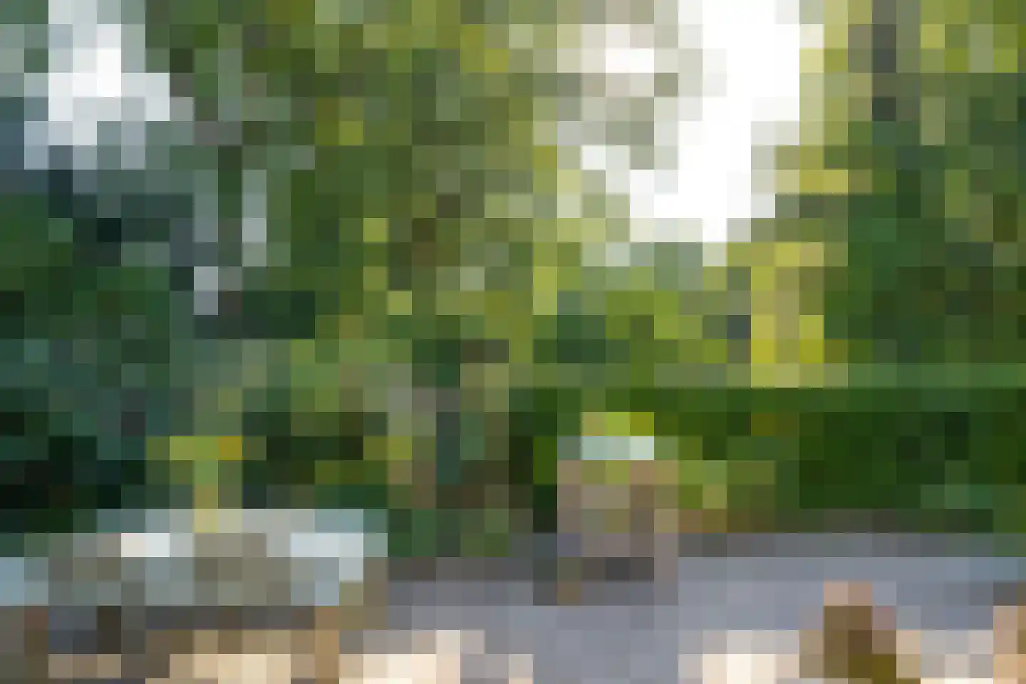 Brederodelaan 21 Ermelo thumbnail 49