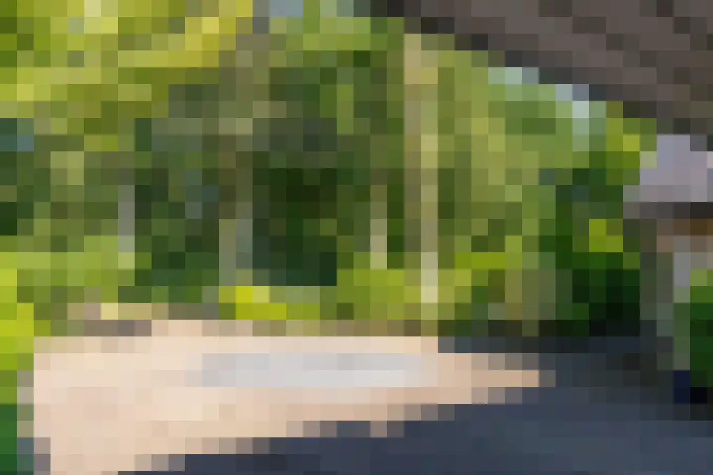 Brederodelaan 21 Ermelo thumbnail 7