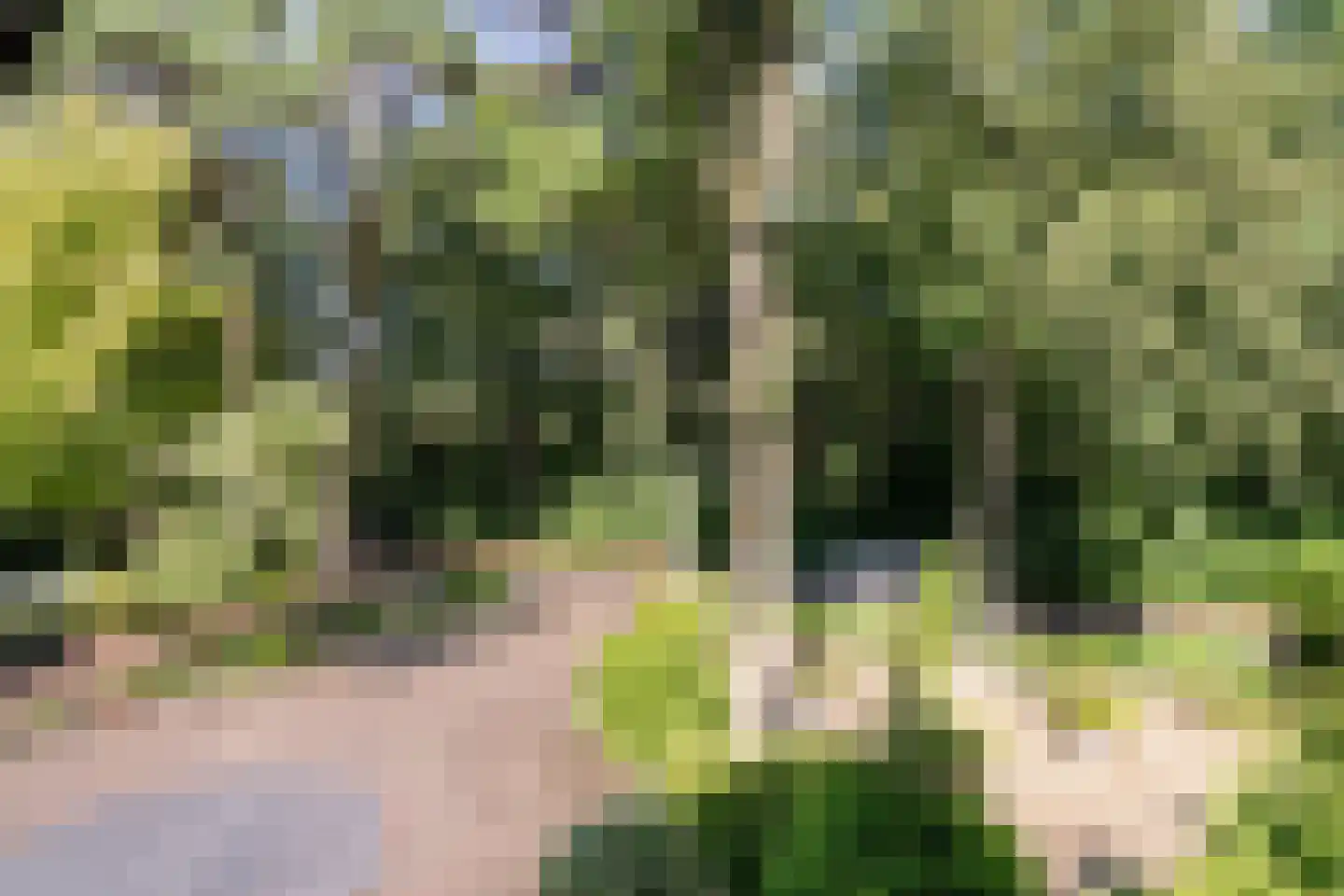 Brederodelaan 21 Ermelo thumbnail 8