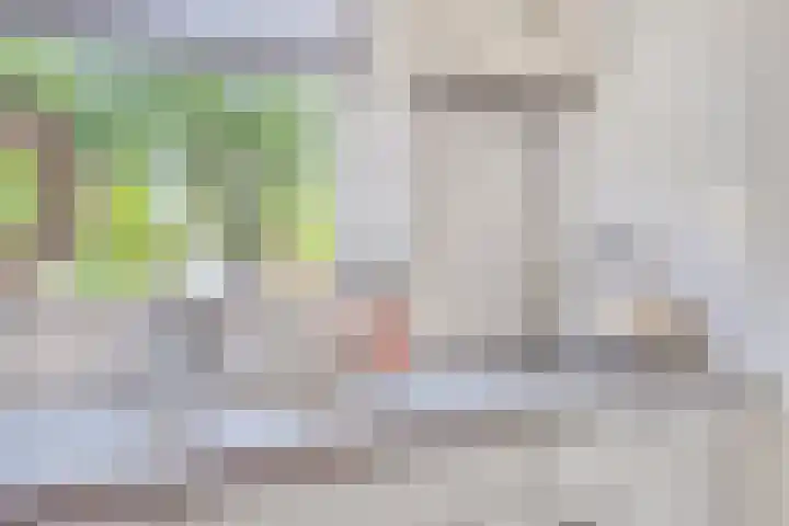 Brederodelaan 24 Veenendaal thumbnail 10