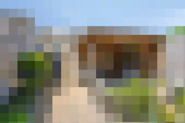 Brederodelaan 24 Veenendaal thumbnail 21