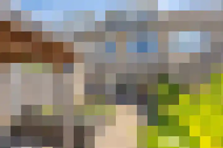 Brederodelaan 24 Veenendaal thumbnail 22