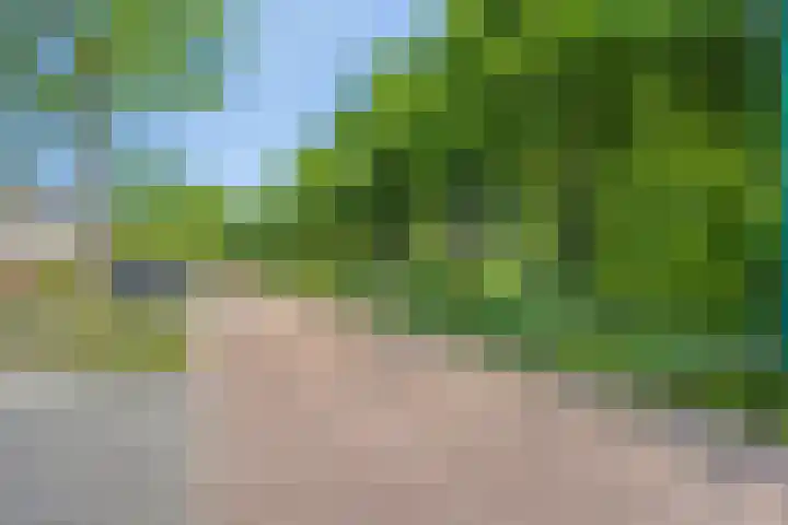 Brederodelaan 24 Veenendaal thumbnail 23