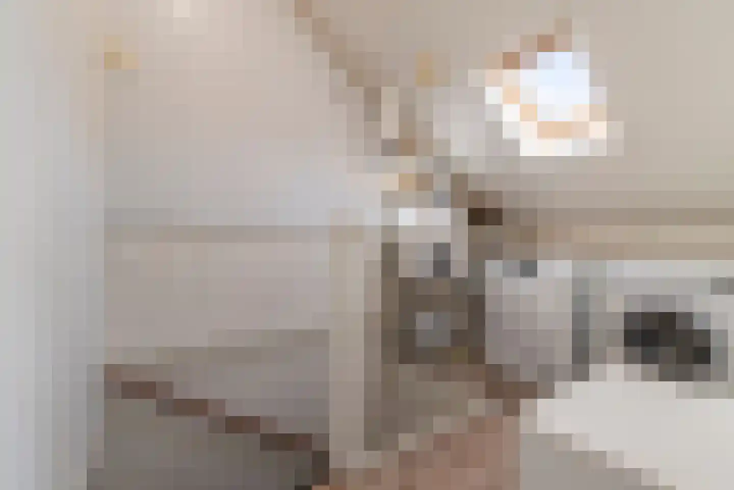 Brederodelaan 28 Veenendaal thumbnail 21