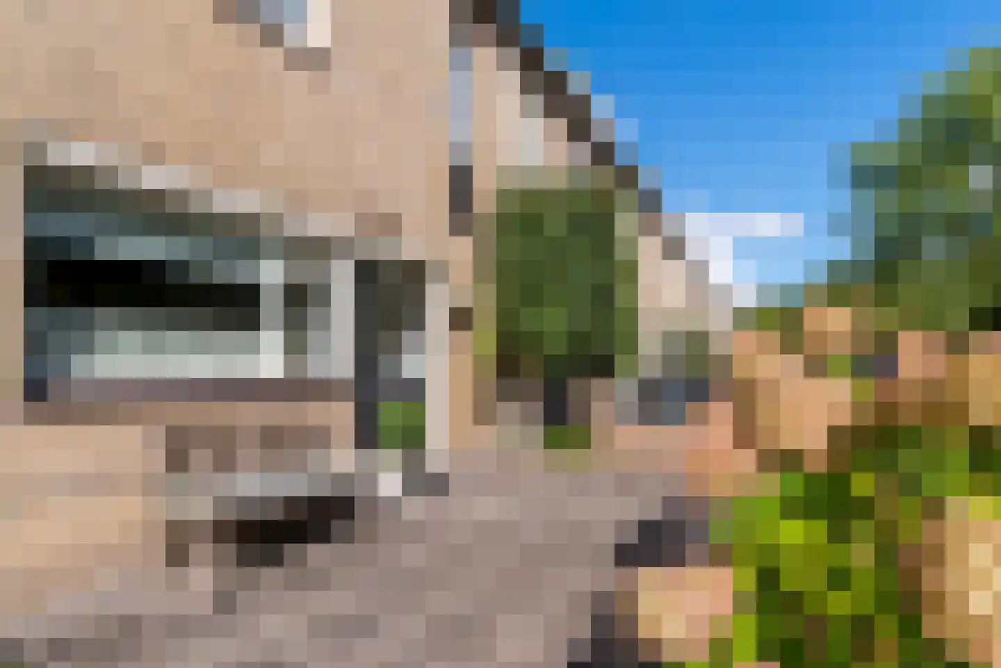 Brederodelaan 28 Veenendaal thumbnail 32