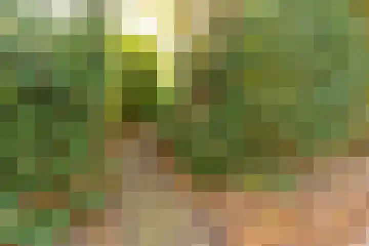 Brederodelaan 43 Ermelo thumbnail 40