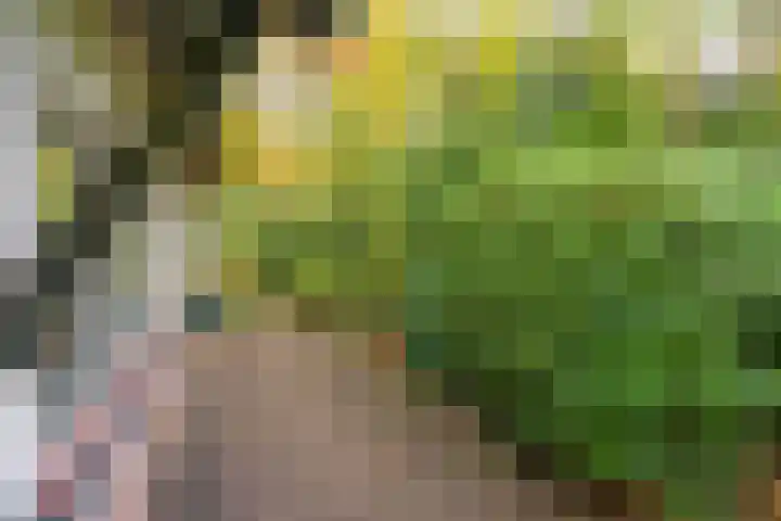 Brederodelaan 43 Ermelo thumbnail 6