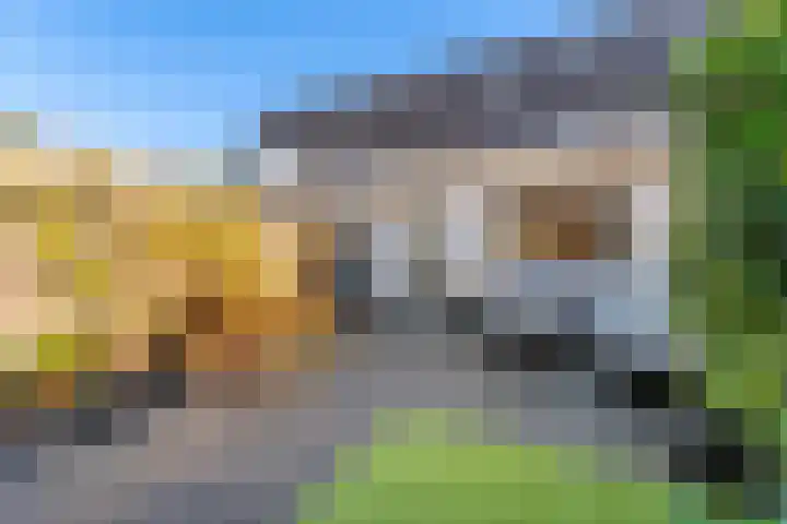 Brederodelaan 44 Veenendaal thumbnail 25