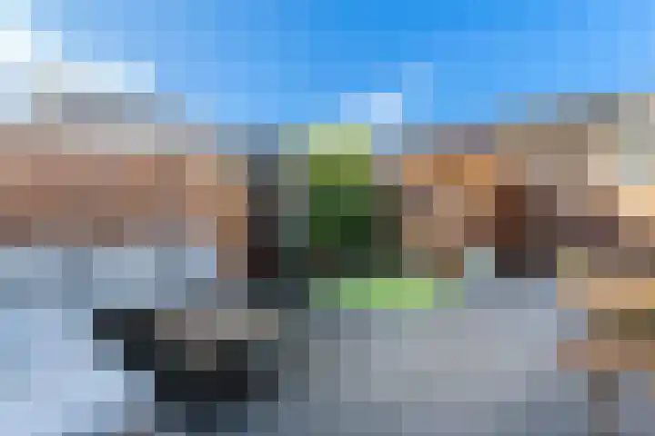 Brederodelaan 44 Veenendaal thumbnail 26
