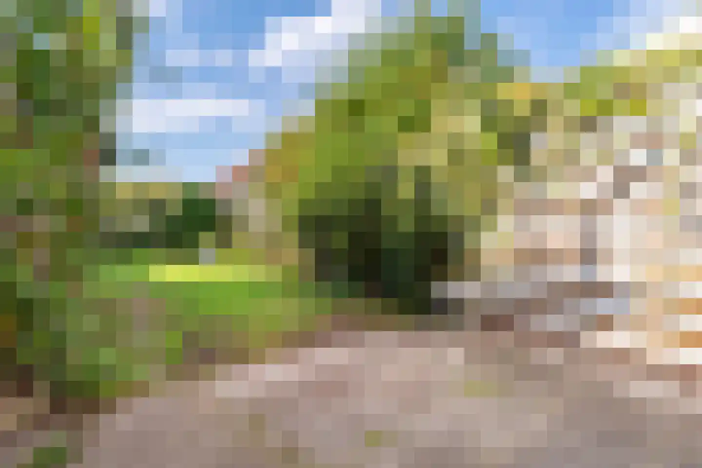 Brederodelaan 5 Veenendaal thumbnail 38