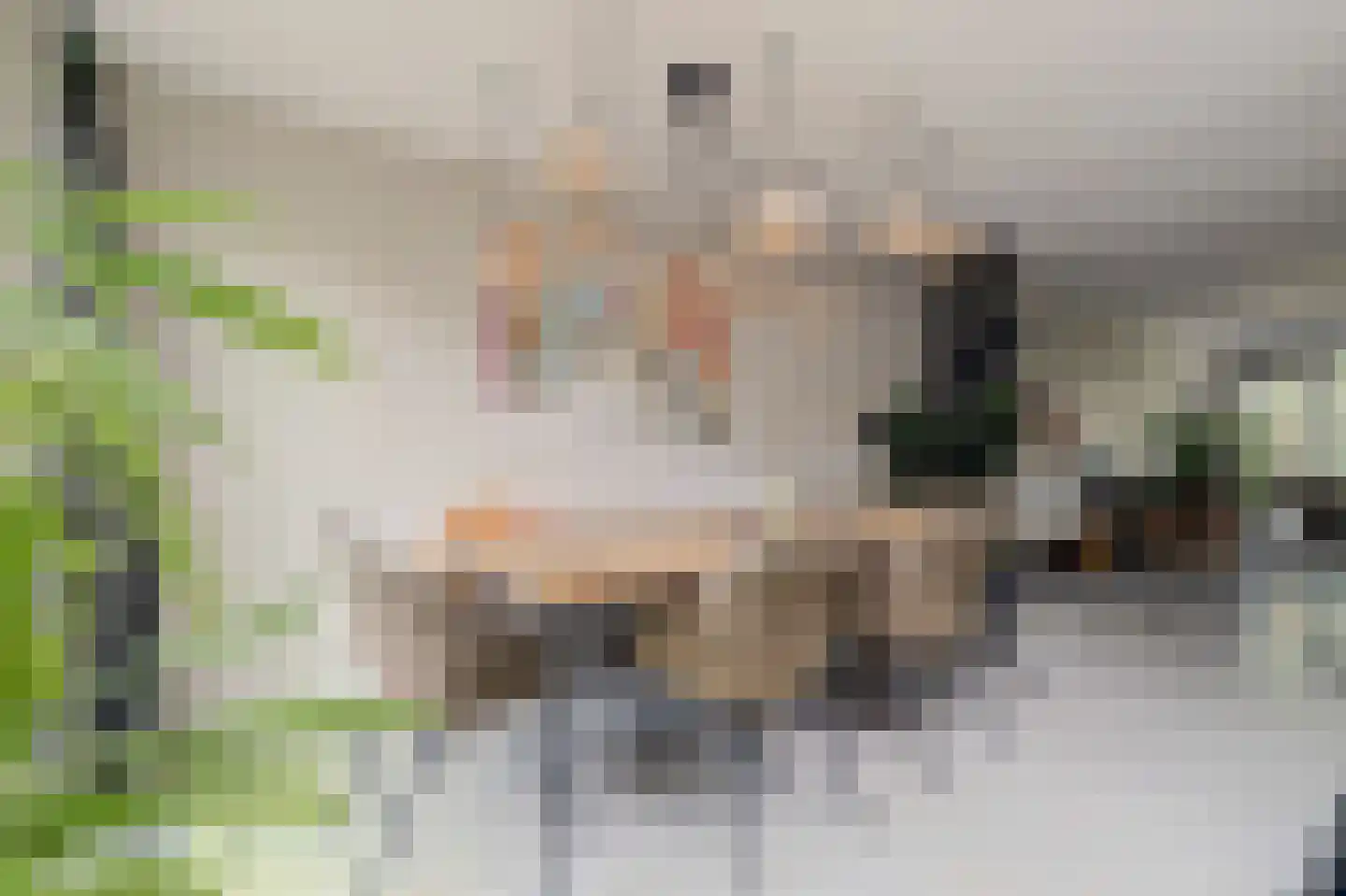 Brederodelaan 50 Veenendaal thumbnail 10