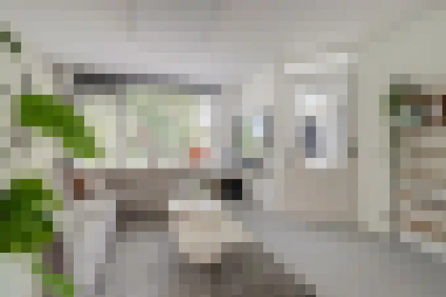 Brederodelaan 50 Veenendaal thumbnail 4