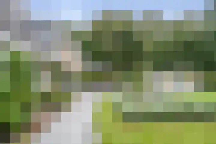 Brederodelaan 51 a Bloemendaal thumbnail 38