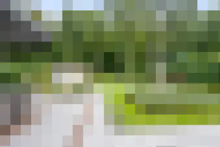 Brederodelaan 51 a Bloemendaal thumbnail 39
