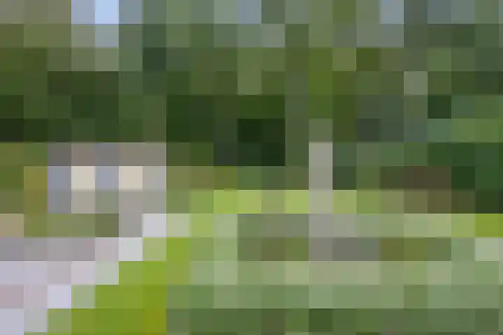 Brederodelaan 51 a Bloemendaal thumbnail 41