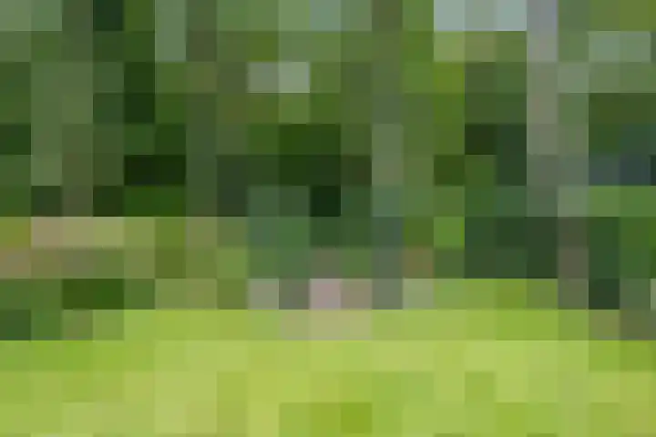 Brederodelaan 51 a Bloemendaal thumbnail 42