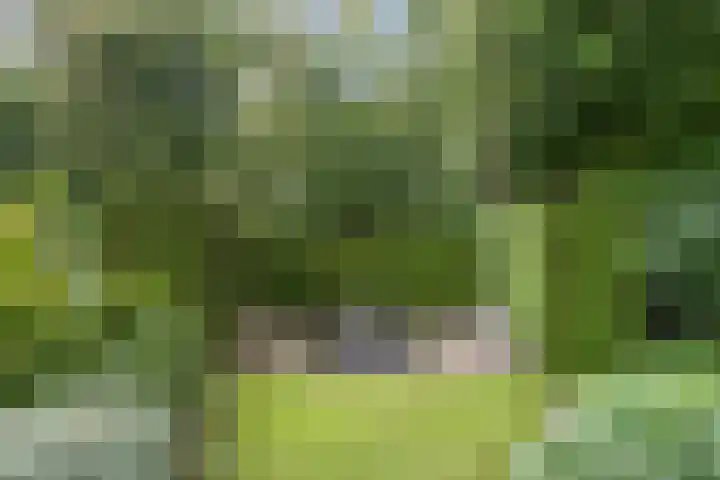 Brederodelaan 51 a Bloemendaal thumbnail 43