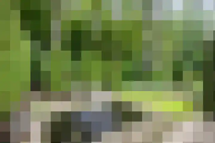 Brederodelaan 51 a Bloemendaal thumbnail 44