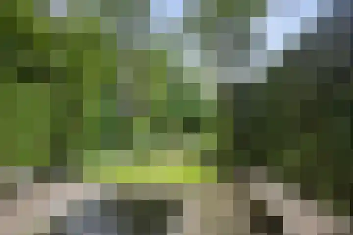 Brederodelaan 51 a Bloemendaal thumbnail 45