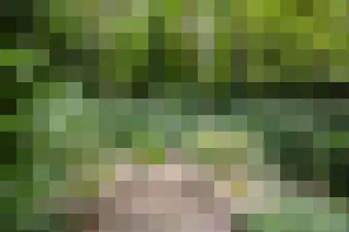 Brederodelaan 51 a Bloemendaal thumbnail 46