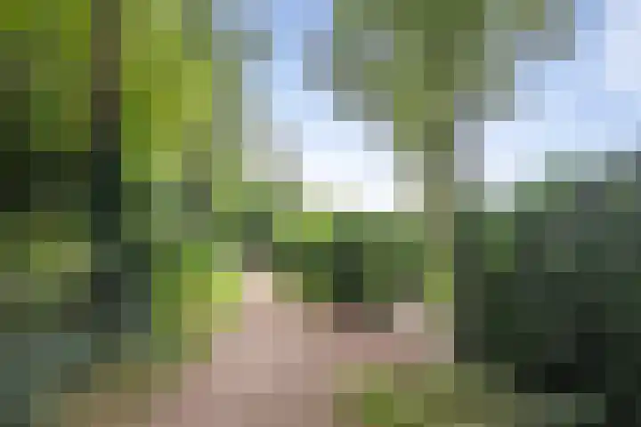 Brederodelaan 51 a Bloemendaal thumbnail 47