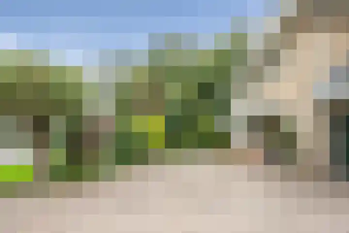 Brederodelaan 51 a Bloemendaal thumbnail 48